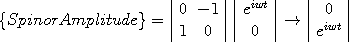 \{Spinor Amplitude\}=\left|\begin{array}{cc}0&-1\\1&0\end{array}\right|\left|\begin{array}{c}e^{iwt}\\0\end{array}\right|\rightarrow\left|\begin{array}{c}0\\e^{iwt}\end{array}\right|